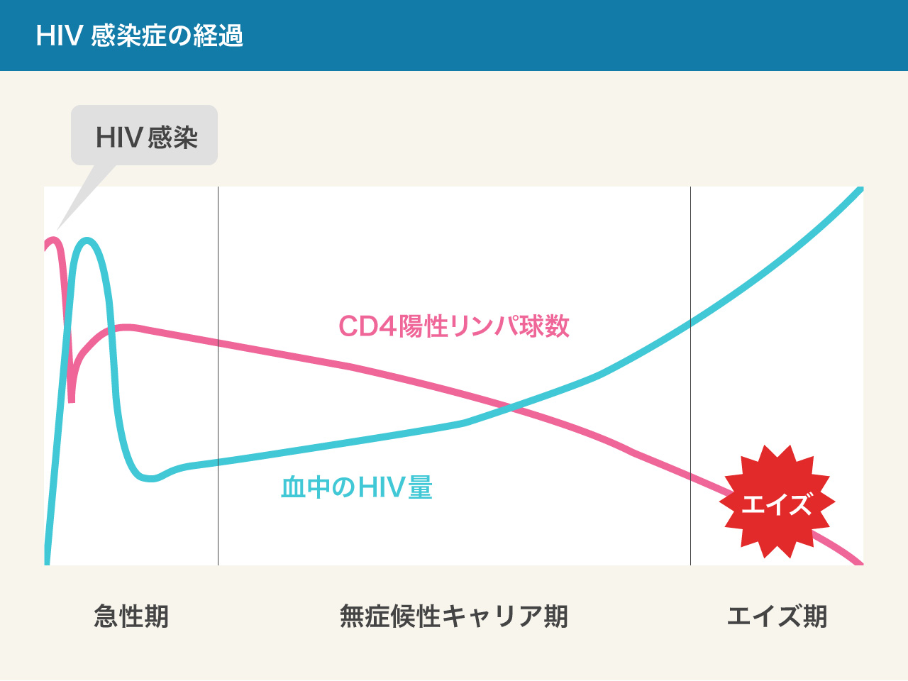 Hiv感染からエイズ発症まで Hiv基礎知識 北海道hiv Aids情報 北海道大学病院hiv診療支援センター